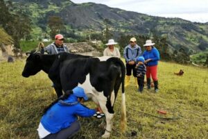 Se requiere cuidador para estancia ganadera